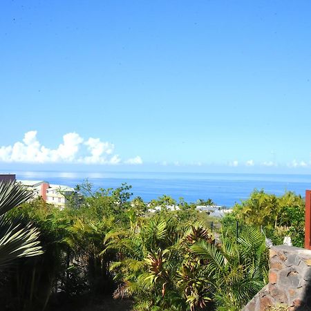 T2 Classe 4 Etoiles Avec Jardin, Piscine, Vue Mer A Saint-Gilles-Les-Bains Buitenkant foto